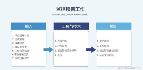 系统集成项目管理工程师 项目整体管理与商务信息咨询的重要性